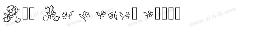 R41 Alfabeta字体转换